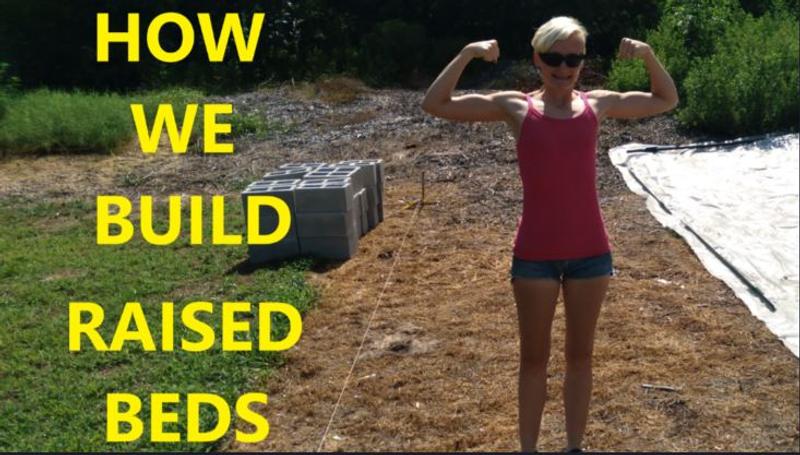How we build raised beds with 1/4 mesh
