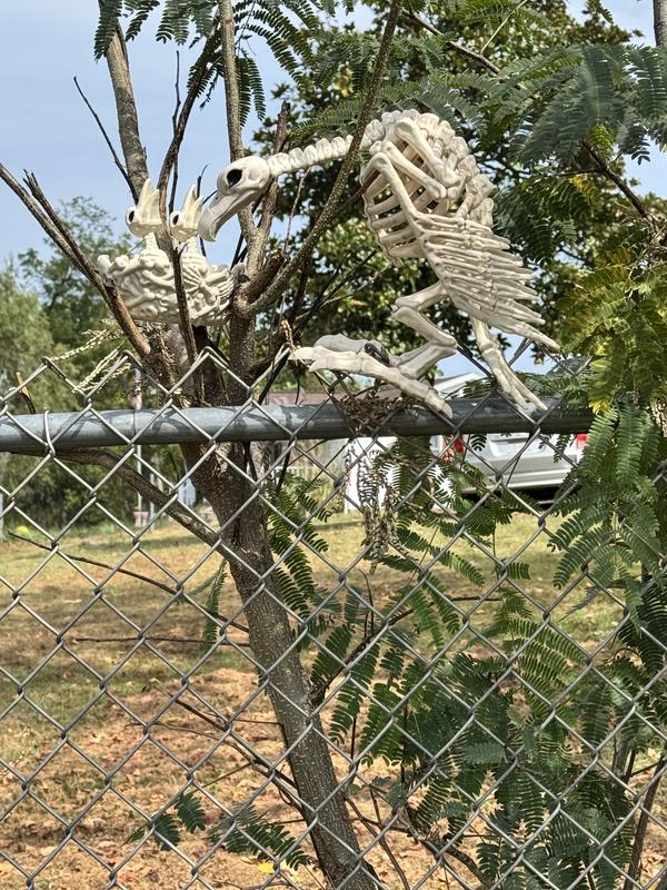 Pet cemetery