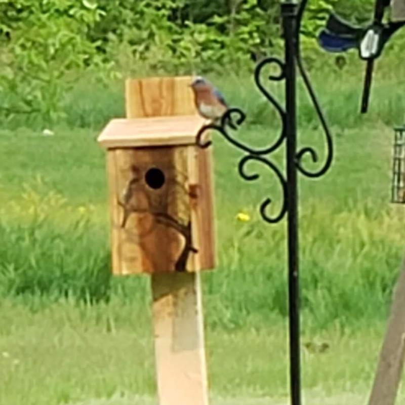 I did as suggested, put a coat of polyethylene on them.