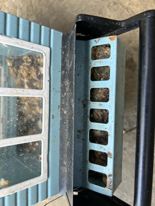 Mold buildup preventing food from flowing into tray
