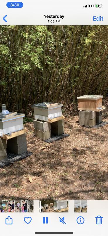 Two hives on left and center are tractor supply products.