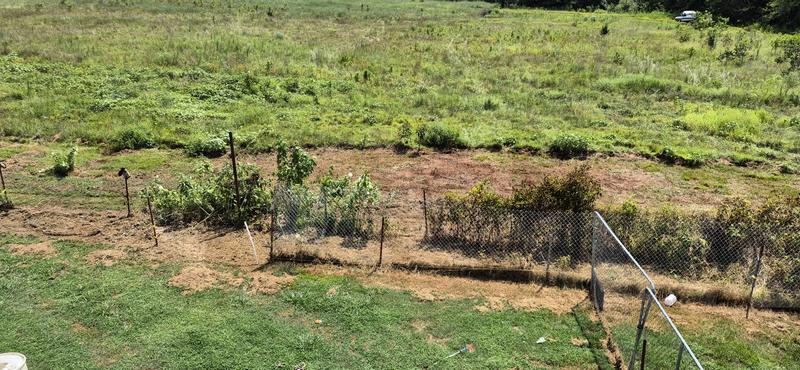 I used this product all day cutting down the weeds and vines growing in the pasture and along the fence it hadn't been trimmed in two going on three years. Will try and add a video on my next review. I highly recommend this product