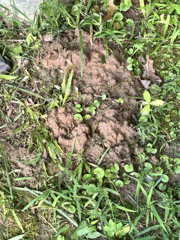 Soft ground