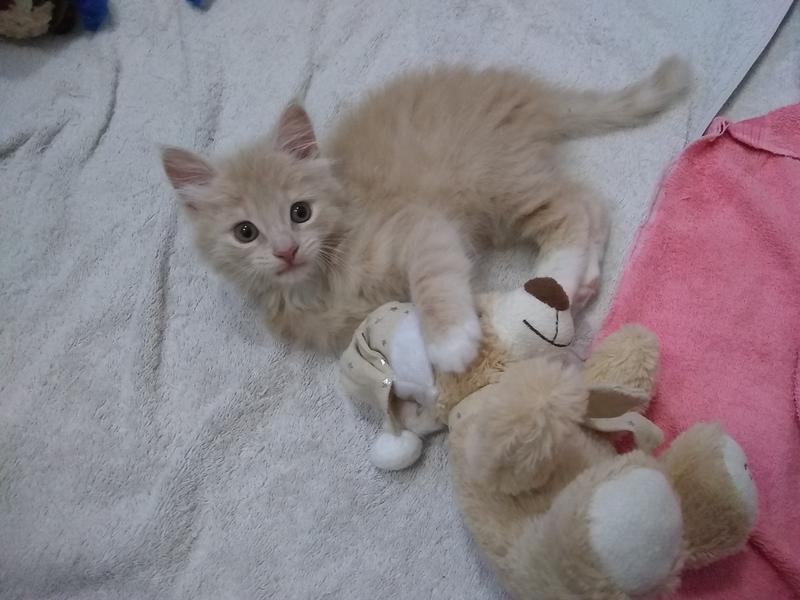 Pearl is about 5wks here