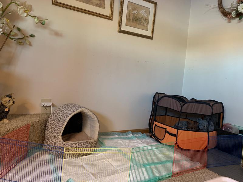 (My little guy is in his heated “house”)