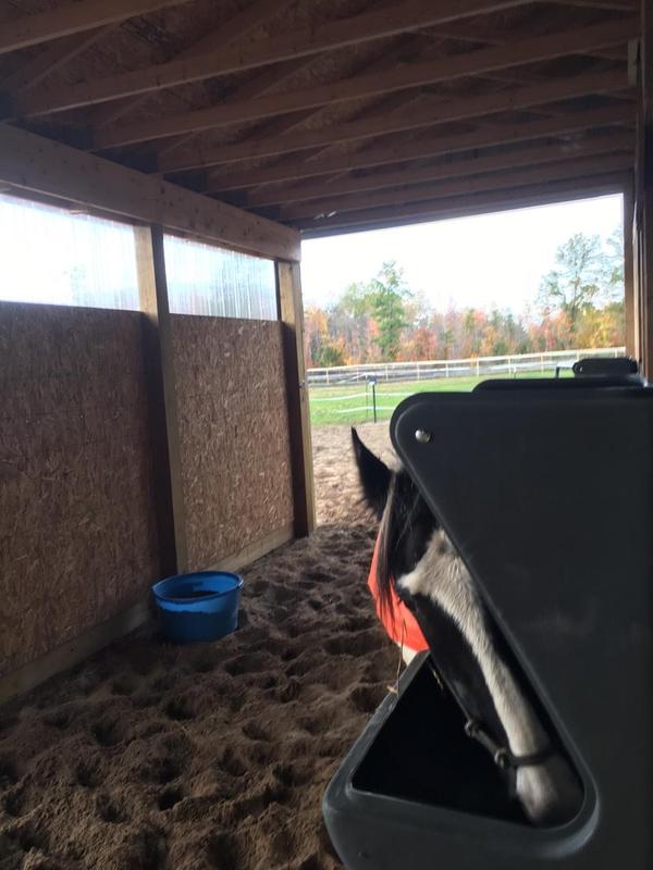 Inspecting for left overs