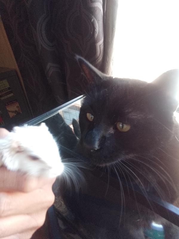 Guy back to himself!