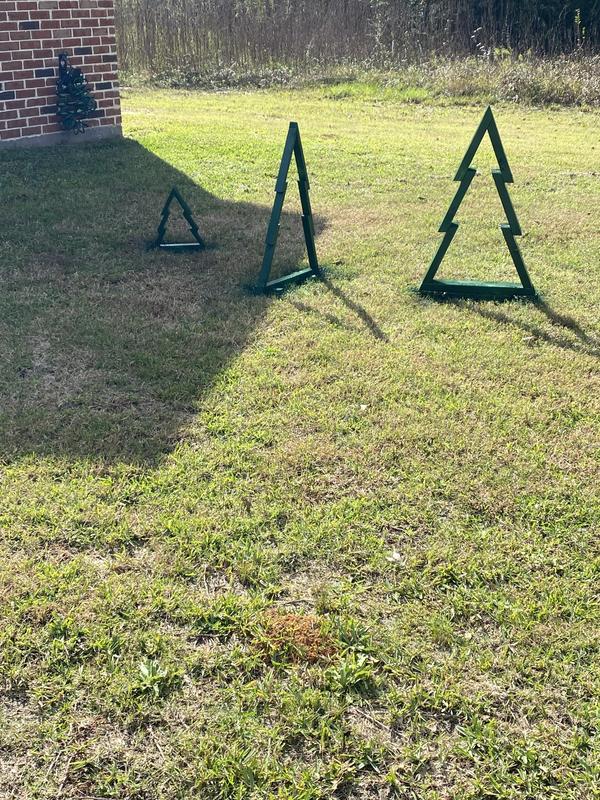 Various size Christmas trees.