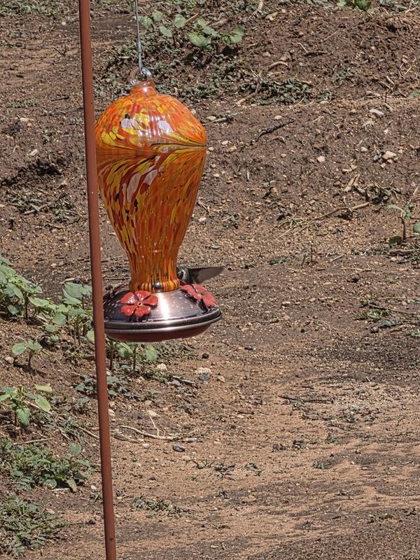 Hummingbird Feeder