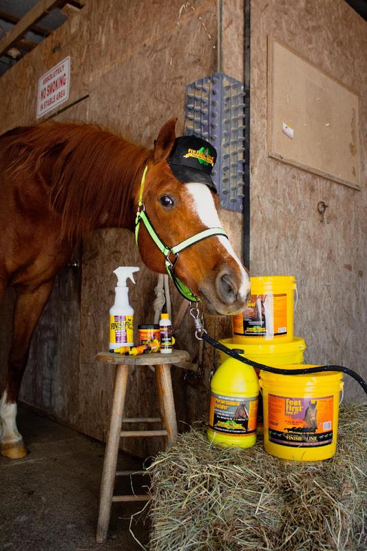 Winston wearing his DuMor halter for a Finish Line product photo shoot.