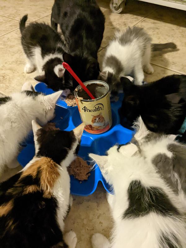 Dinner time