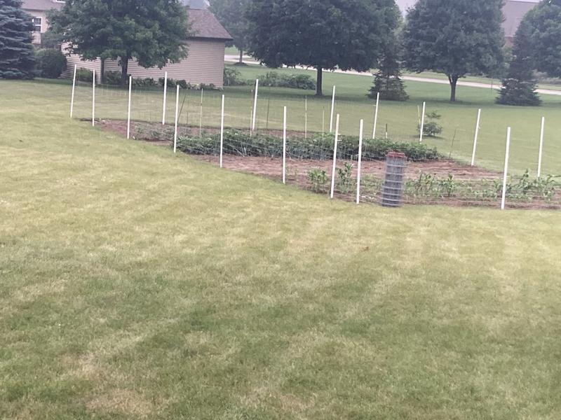 Finished project