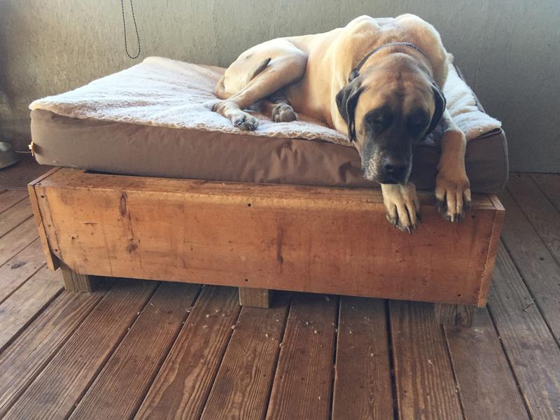 Happy napping, y’all!