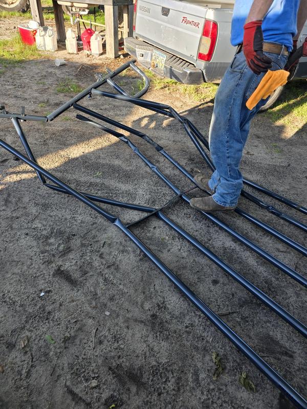 1 day old panel