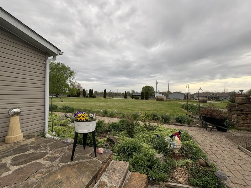 My mothers yard. Wasn’t trimmed in years.