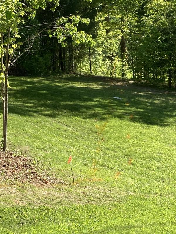 Lower lawn