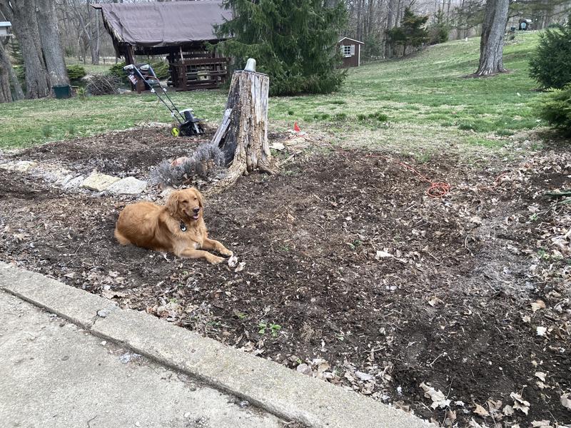 Garden plot tilled in 10 minutes - and that was with my "first time rototiller user" learning curve.