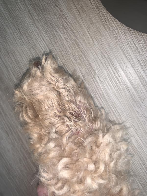 Progress from first day of use, 2nd day and scabbing at 3-4 days.