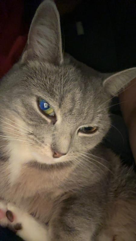 All better no more crusty nose