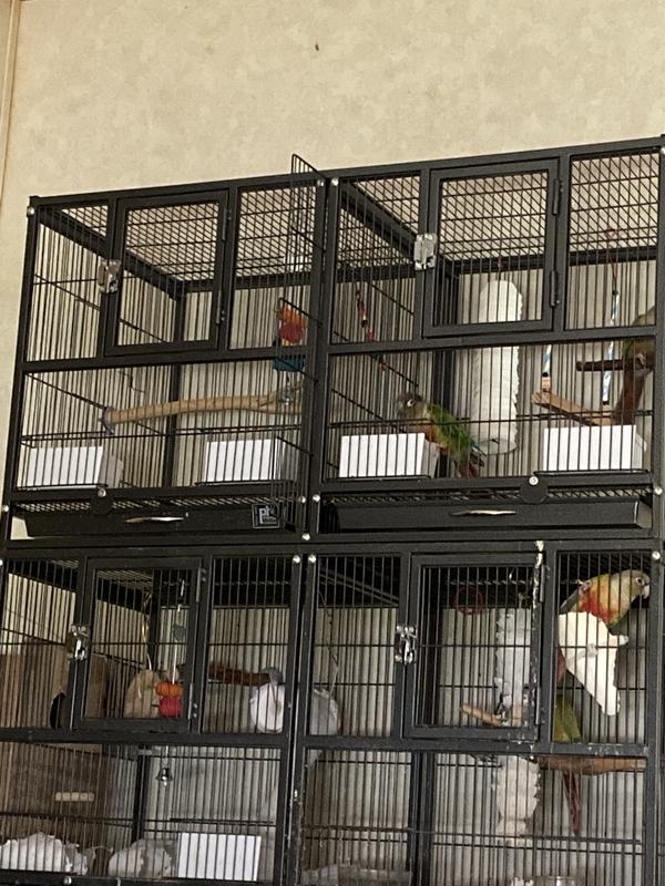 Top two sets on one of my stacks