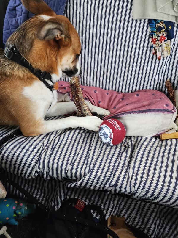A new ball & treat woo hoo.