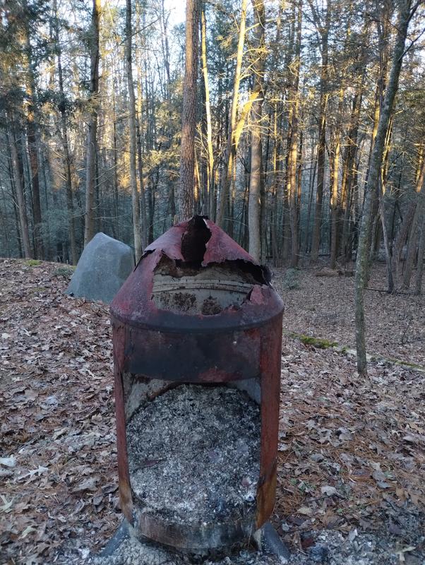 remains