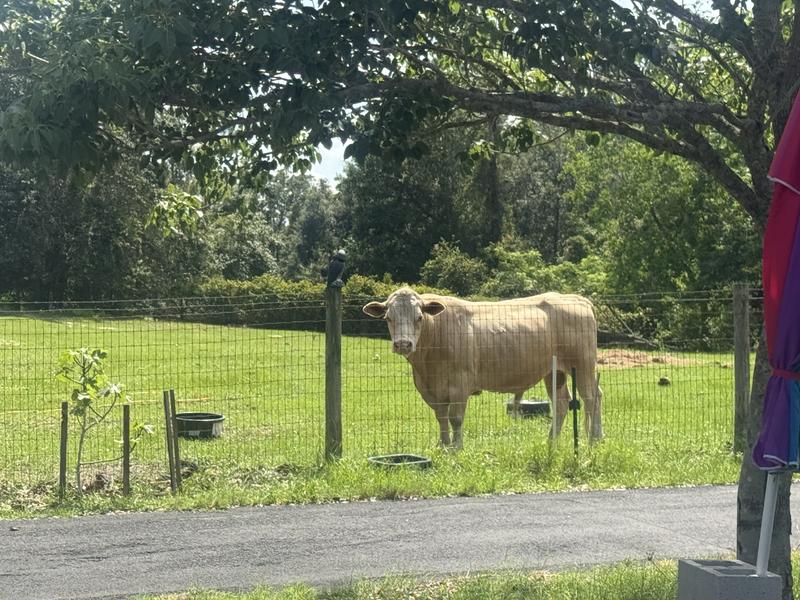 Preventing this guy from jumping