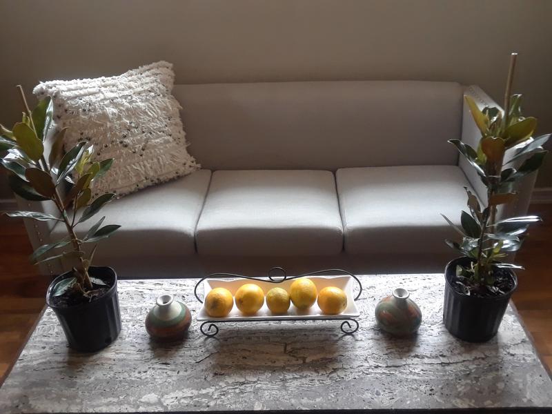 My happily healthy Little Gems!