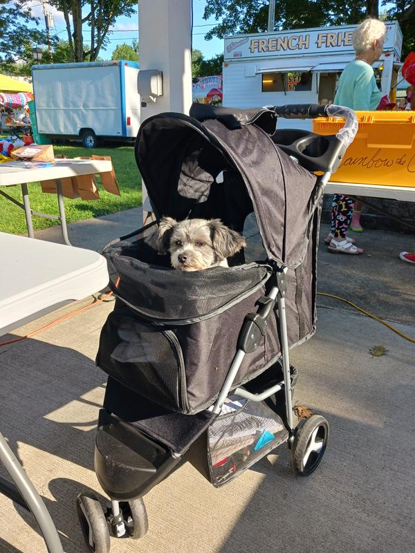 Ellie out enjoying her stroller