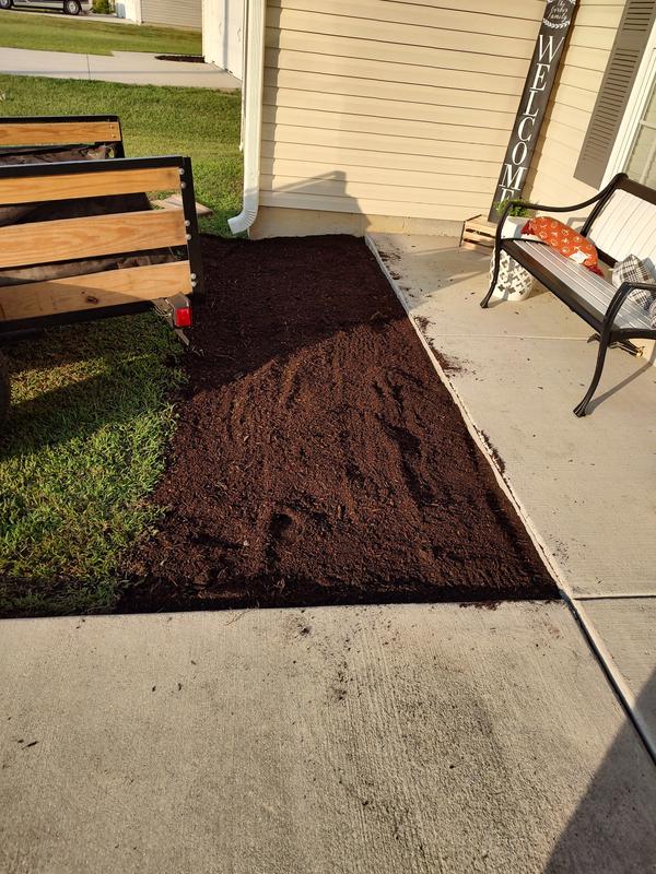 4 days after seeding.