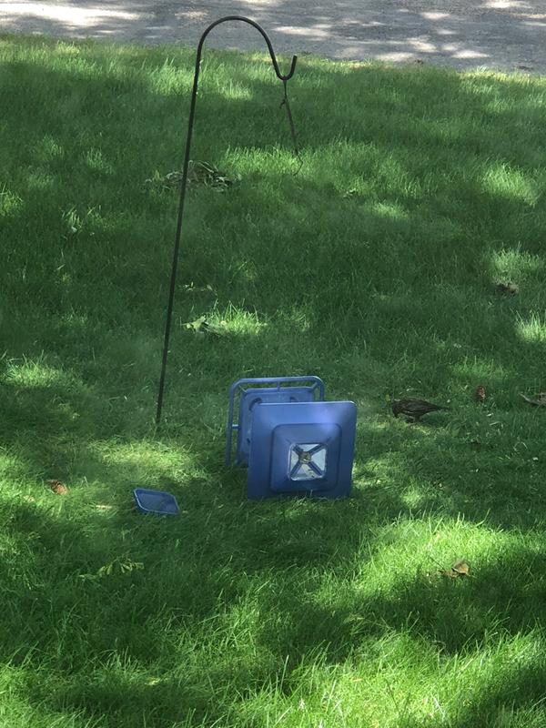 Bird feeder wasn’t even filled.