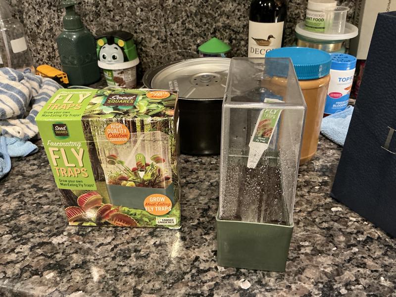 Toys By Nature Seed Squares Fascinating Flytraps at Tractor Supply Co