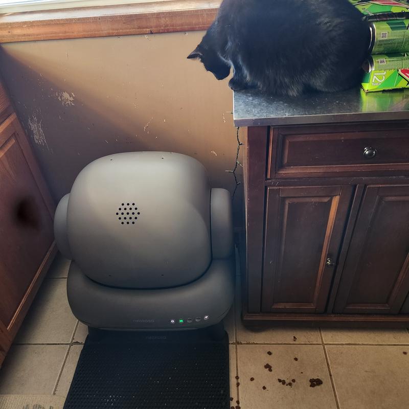 Curious about it moving