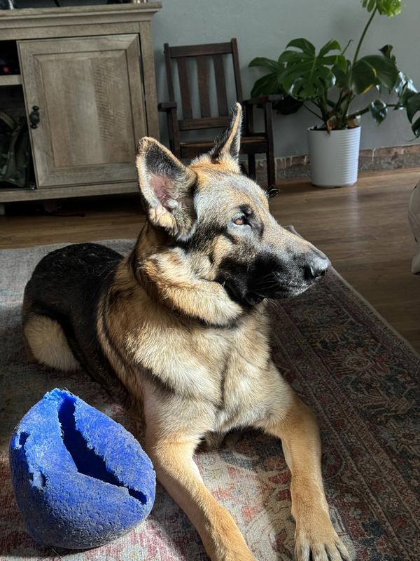 Big guy with a big heart