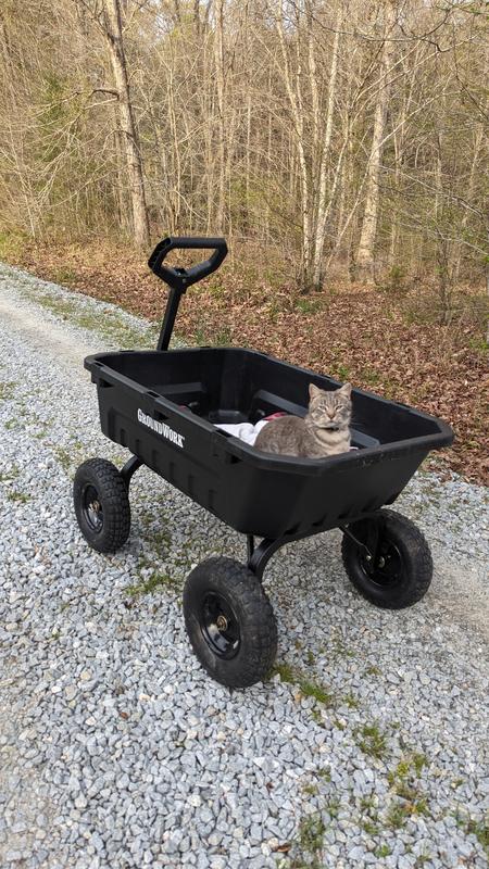 Rocket like the wagon too!