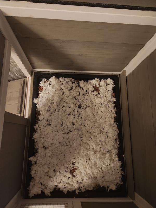 Review photo 3.