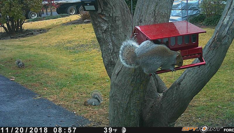 Caught in act.