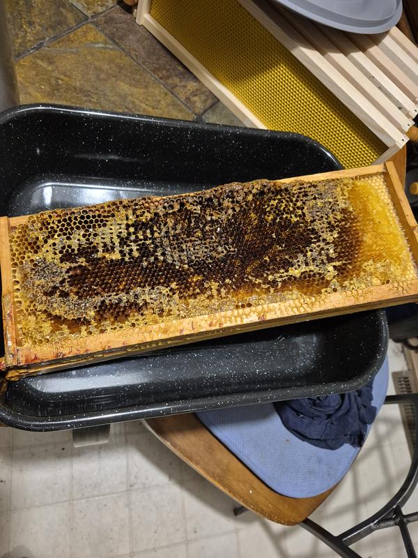 The empty spun frames