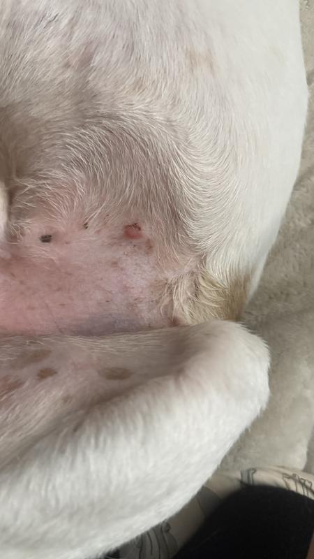 After applying the secondary product for the first time