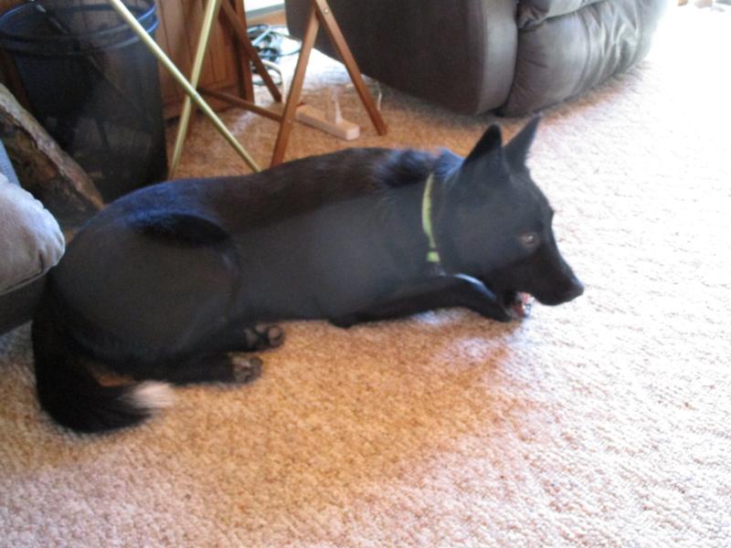 SHADOW: 8 weeks  and  now 9 months