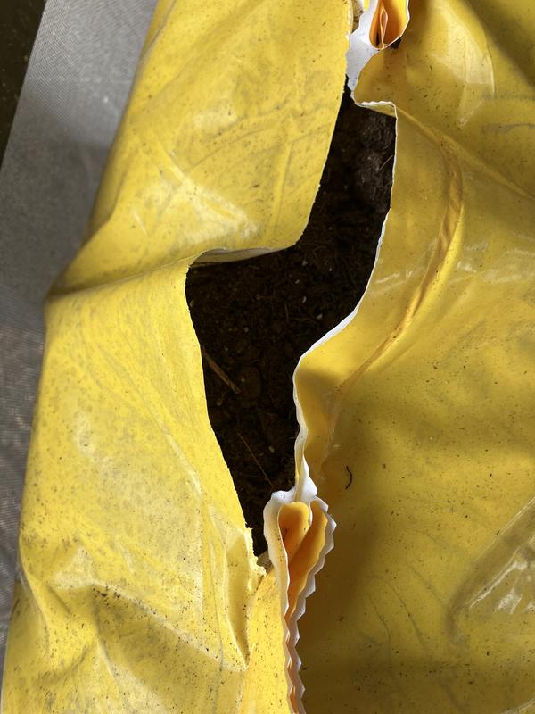 Looked full still fortunately