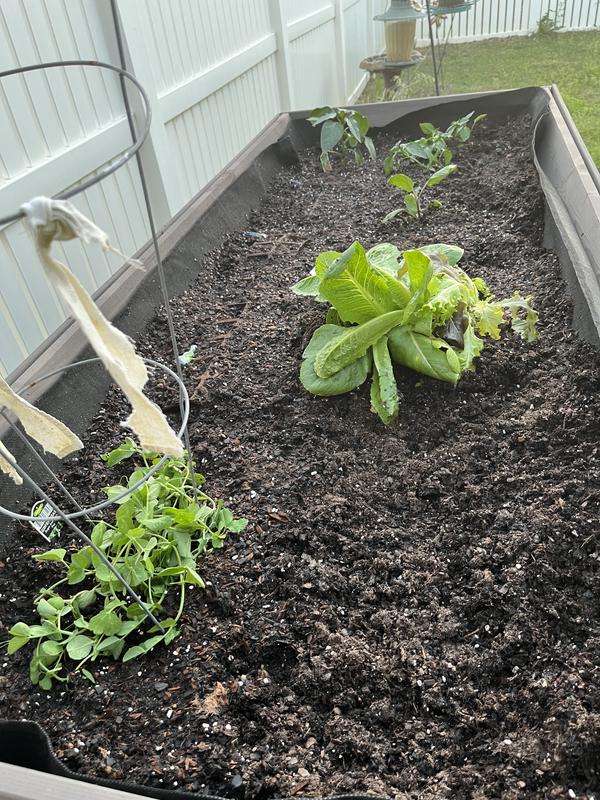 The layout of parts and the assembled planter.  Some plants showing but the seeds are in the dirt.