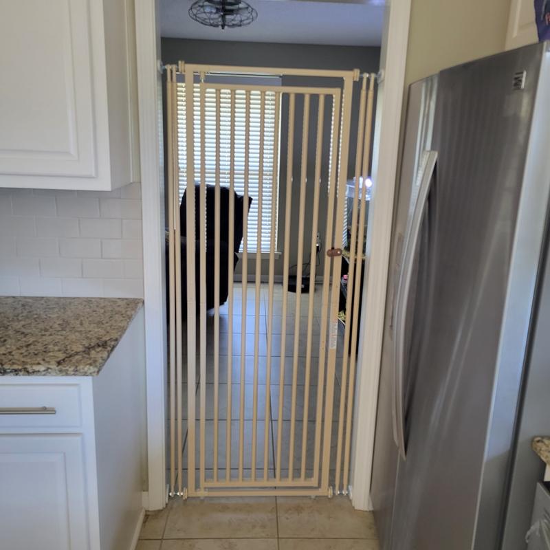 Keeps cats out of front room.
