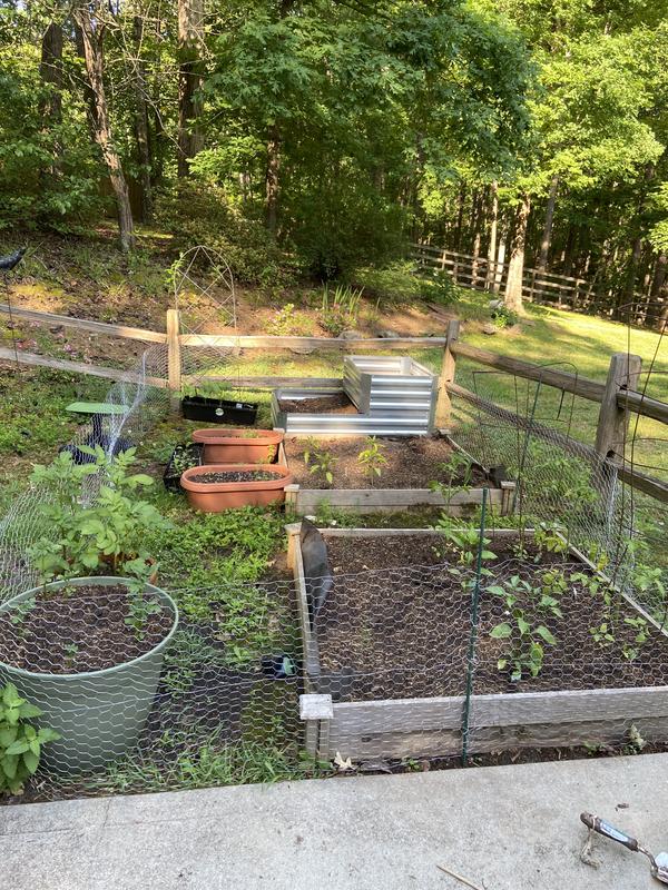 Spring garden 2021