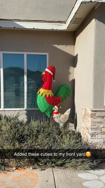 These two chickens are perfect in my front yard