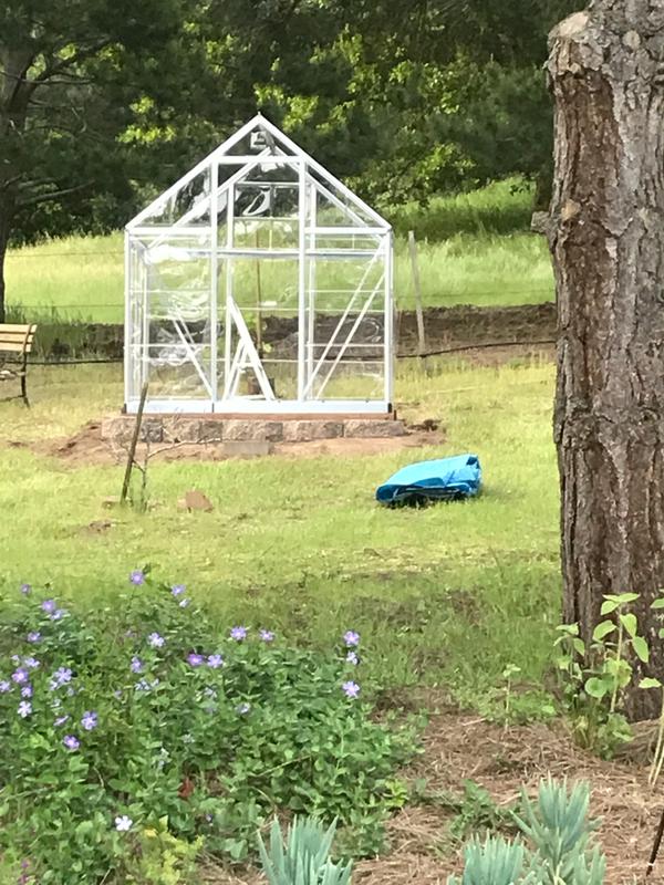 My new greenhouse