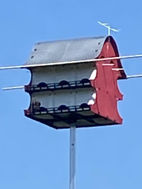 Royal Wing Tri-Tel Bird House Mounting Pole, 15 ft. at Tractor Supply Co