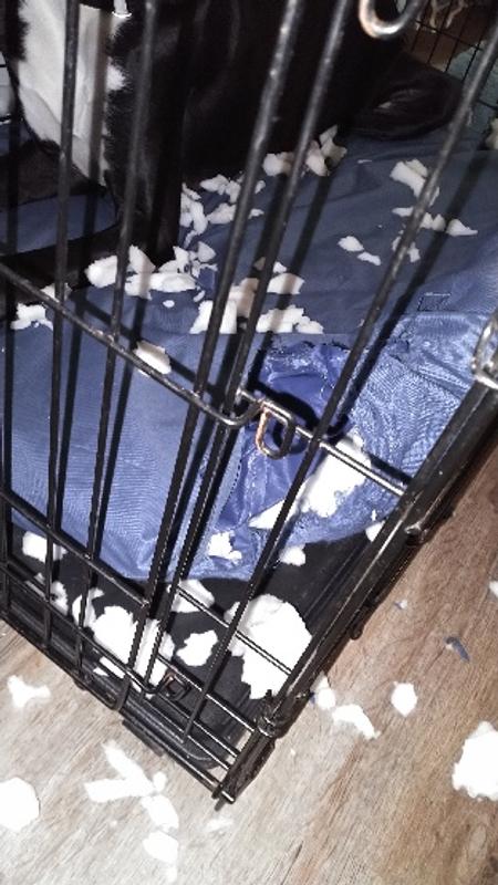 Furhaven Bed