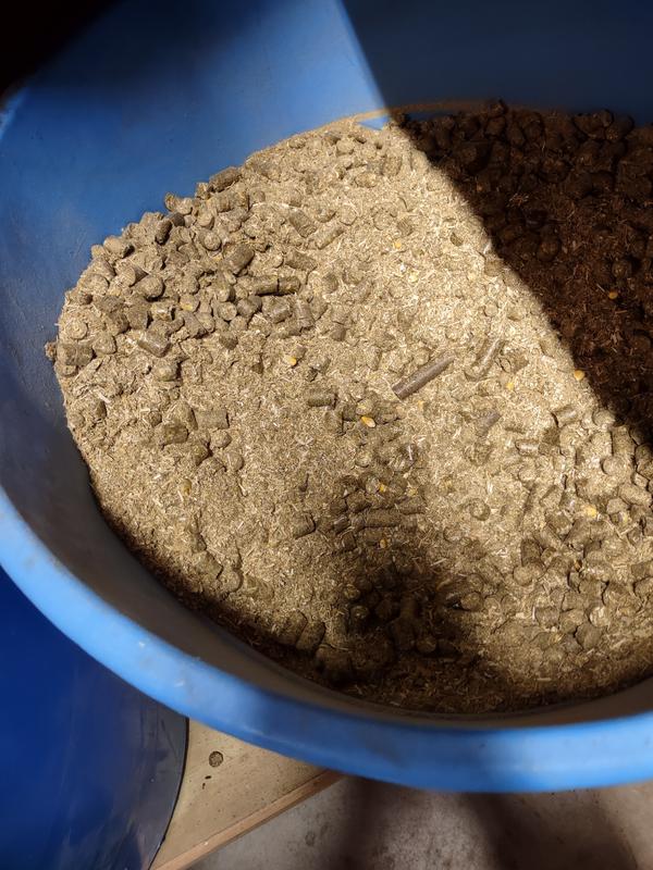 Where's the pellets?