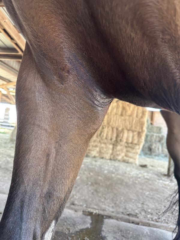 A week using corona cream only